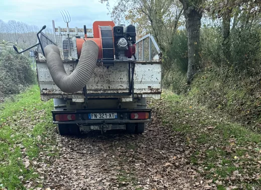 Aspirateur de feuille
